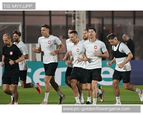 瑞士与波兰足球对决前瞻分析及胜负预测